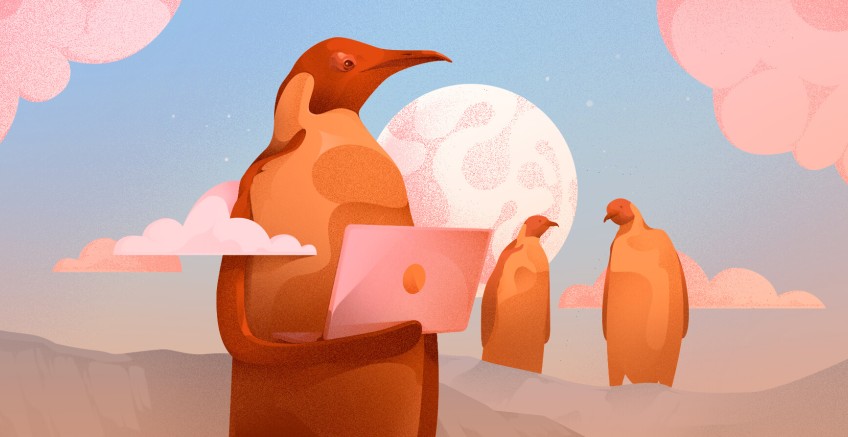 Can DDoS attacks harm your server and how to prevent them?